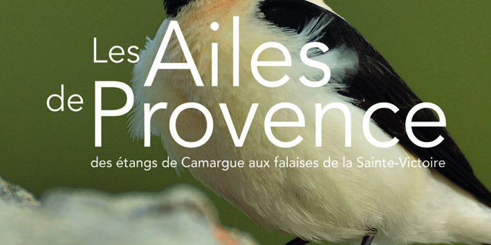 Exposition « Les ailes de Provence »